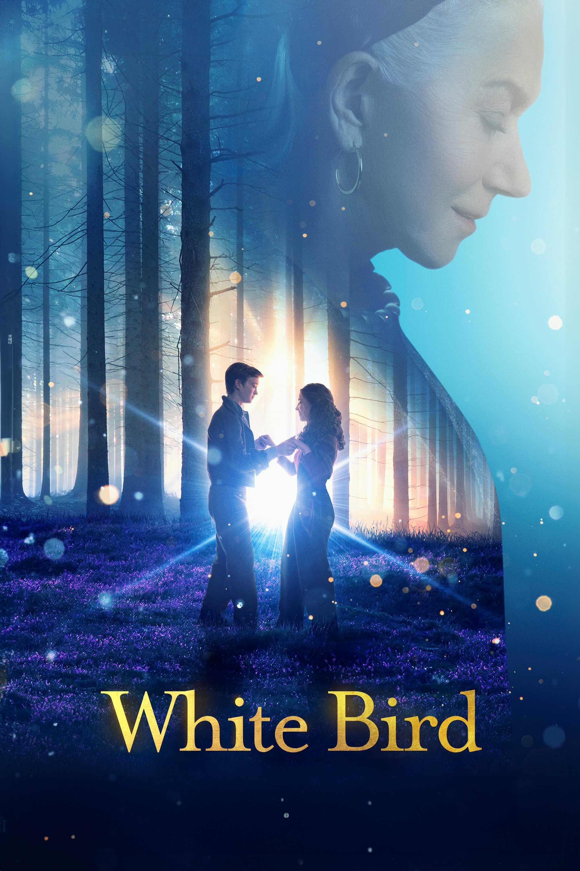 Постер White Bird
